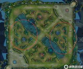 苏州爆料王者荣耀事件最新,揭秘背后真相与玩家热议