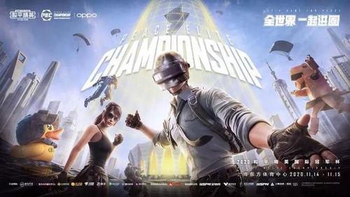 最新二月军需爆料,最新装备与战术解析