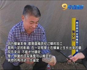 新瓜最新爆料黑料河传姚,新瓜揭露惊人内幕