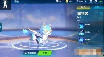 飞车宠物最新爆料图片,炫酷造型与神秘技能大揭秘！