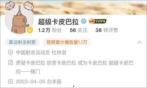 卡哥最新爆料视频下载免费,免费下载背后的秘密与机遇