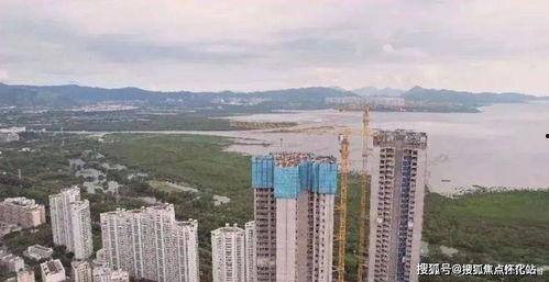 湾湾爆料最新消息,最新消息揭秘！